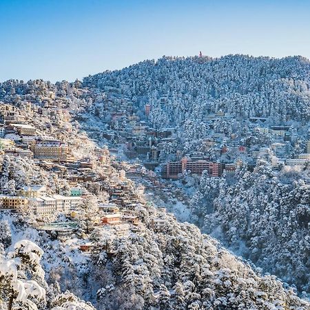 Mountain Zest-Simla Royale Near Mall Road-Free Pickup From Railway Station Simla Buitenkant foto
