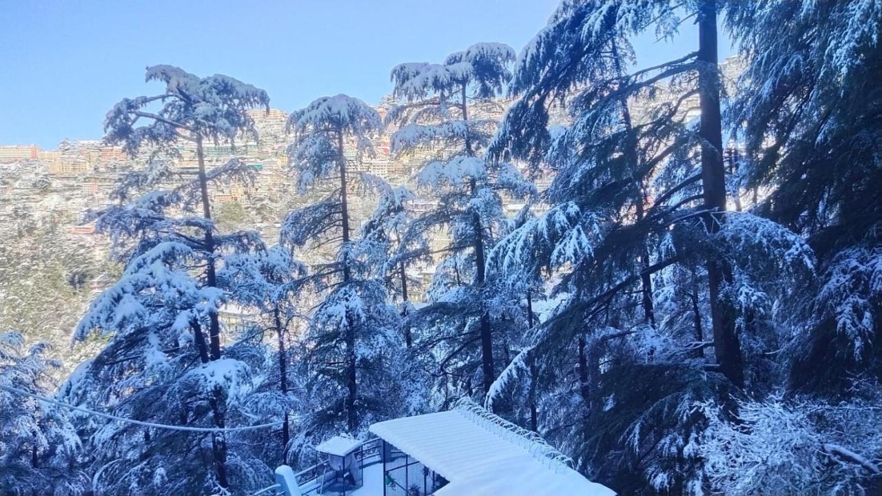 Mountain Zest-Simla Royale Near Mall Road-Free Pickup From Railway Station Simla Buitenkant foto