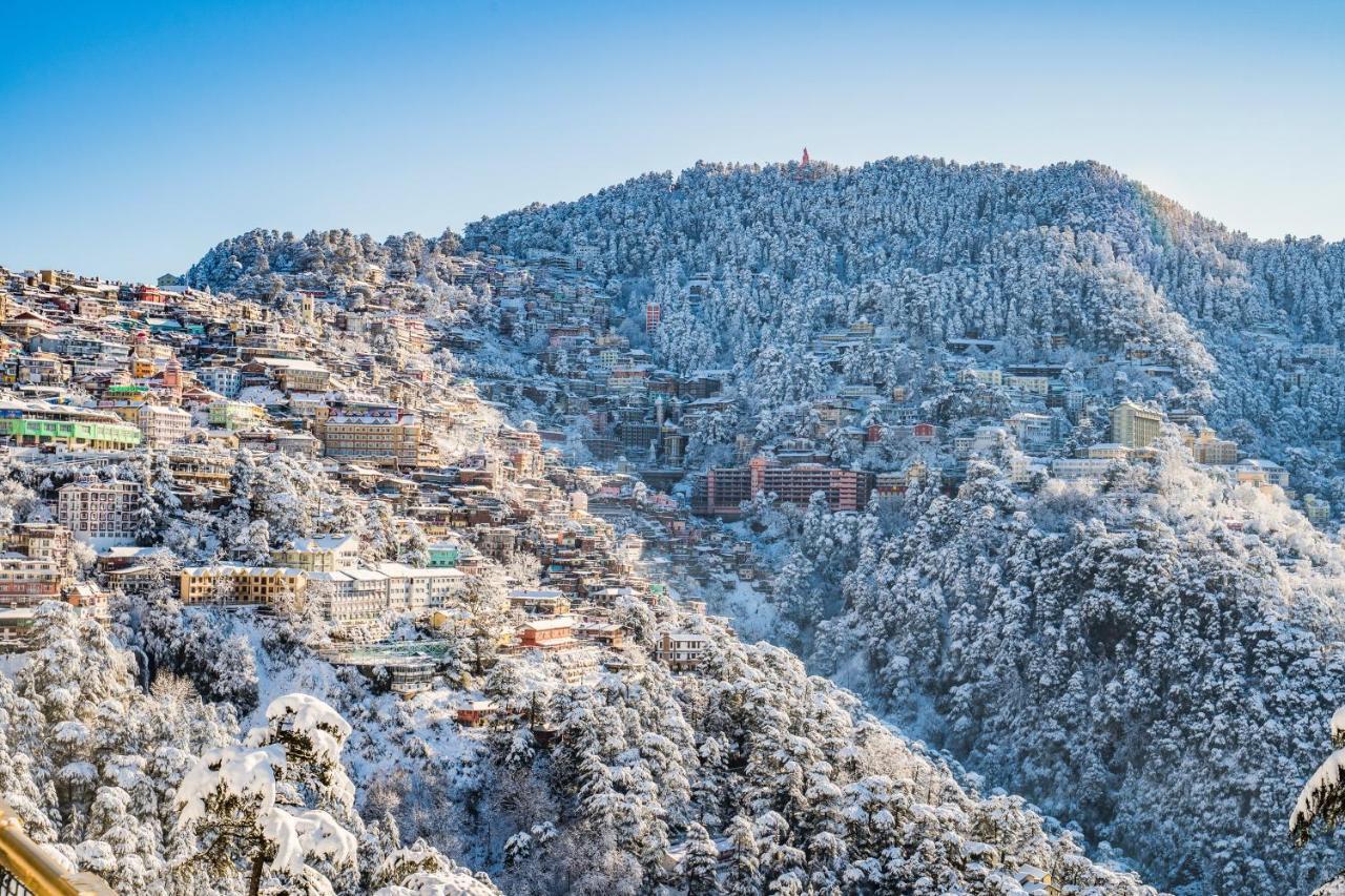 Mountain Zest-Simla Royale Near Mall Road-Free Pickup From Railway Station Simla Buitenkant foto